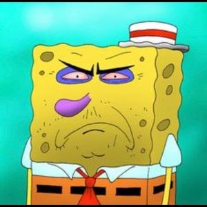 Meet your Posher, Bree